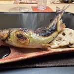 徳ㇵ本也 - ◆焼き物
      琵琶湖の子持ち鮎　
      遠火、近火、角度は360度自由自在の囲炉裏焼き。頭は揚げた様にカリっと香ばしく身はふっくら、骨まで全て食すことができる松本大将の焼きの技。今回も感動致しました。