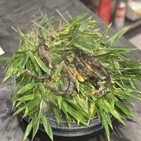 御料理ふじ居 - 