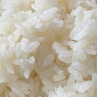 焼肉 ホルモン 飛助_1