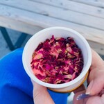 オマーンパビリオンCAFE - 