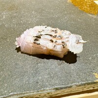鮨 そら - 