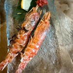 旨いマグロと海鮮居酒屋 漁火 - 