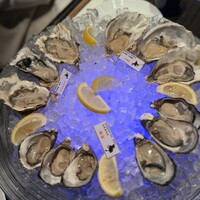 MAIMON GINZA - 