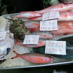 湧川鮮魚店 - さかな