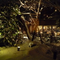 エルムガーデン - 雪の庭園