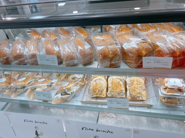 nina brioche photo 5