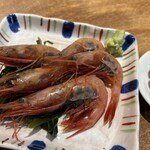 三鷹らーめん酒場SAL - 