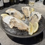 Oyster Bar Rosso - 