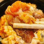 鳥つね自然洞 - 