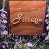 Sillage