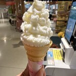 道の駅 平泉 ファーストフード - 