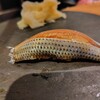 焼乃魚島