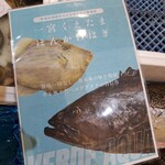 綿半 - 一宮で養殖なんですって！？