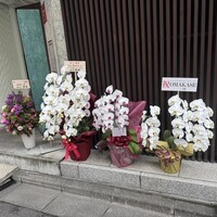 ラ ペ - 
