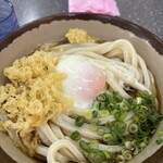 植田うどん - 温玉ぶっかけ冷530円