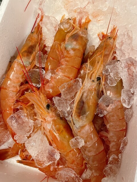 Toyohama Sakana Hiroba photo 3