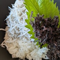 お料理 とみやま - 釜揚げしらす御飯