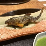 324123300 - 子持ち鮎