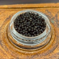 三宅輝 - 