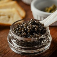 CAVIA PLATE (For one)