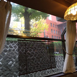 さふらん - 錦町公園の銀杏。