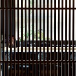 火の花 (fuu the FLAG) - 