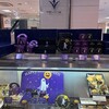 ブールミッシュ 山口井筒屋店