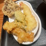 赤坂 讃岐うどん ほし野 - 