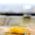 324155170 - ヒラメ。 透明感があって澄んだ味わいだけど力強い。 ３日熟成なのにこの弾力はなに？ 旨みも十分。 難波さんのシャリの良さがすごくわかる握り。