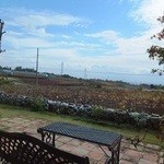 キュイエット - 本日は富士山は雲に覆われているようです。