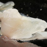 米倉 - アカメフグの湯引きアップ