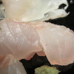 米倉 - 宮崎県のアコウと呼ばれるキジハタアップ