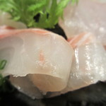 米倉 - イシガキダイアップ