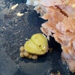 IL PLANETARIO - 鴨のテリーヌ