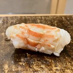 鮨まつうら - 天草の海老