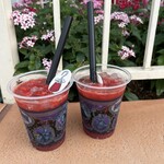 ヒューイ・デューイ・ルーイのグッドタイム・カフェ - フック船長の鍵手です