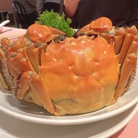 シェフス - 