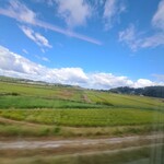 プレゼンテ スギ - 