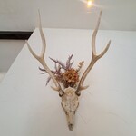 プレゼンテ スギ - 