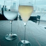 International cuisine subzero - 