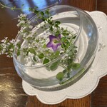 カフェアンジェ - 