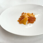 エスキス - Lumière | ikura douxbeurre tagète
            光｜いくら　バターナッツ マリーゴールド