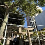 les seeds 96 - サムハラ神社