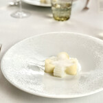 エスキス - Osmose | calamar céleri-rave feuilies de figues
            浸透｜鳥賊　根セロリ　無花果の葉