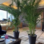 ANAインターコンチネンタル石垣リゾート - 