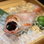 のどぐろ専門 銀座 中俣 - 