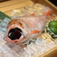 のどぐろ専門 銀座 中俣 - 