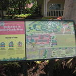 Dole Plantation - 