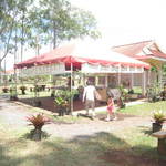 Dole Plantation - 