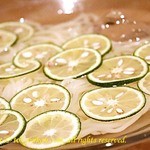 森の机 - すだちうどん。¥850